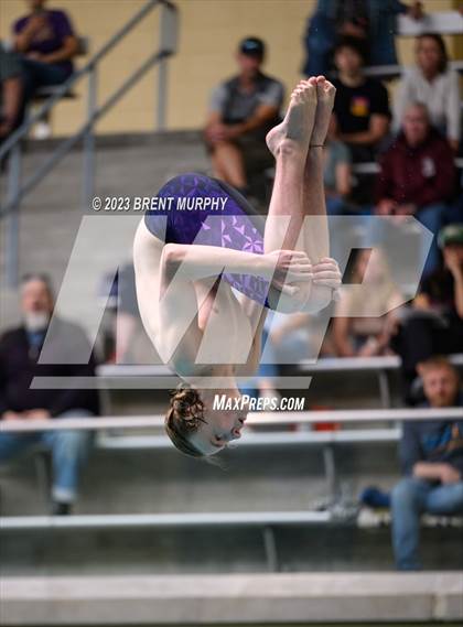 Thumbnail 1 in CHSAA 4A Boys Diving - State Championship photogallery.