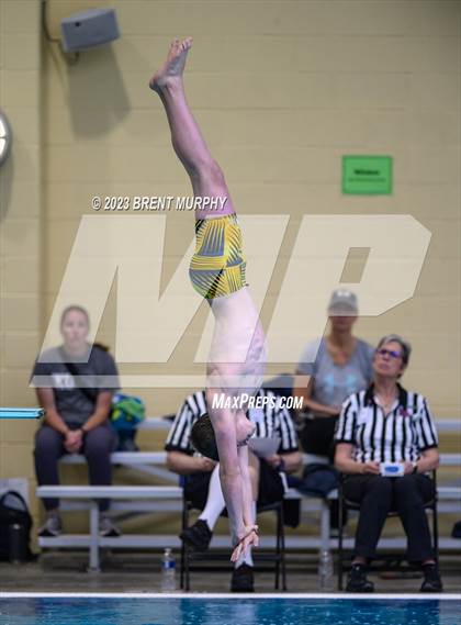 Thumbnail 2 in CHSAA 4A Boys Diving - State Championship photogallery.