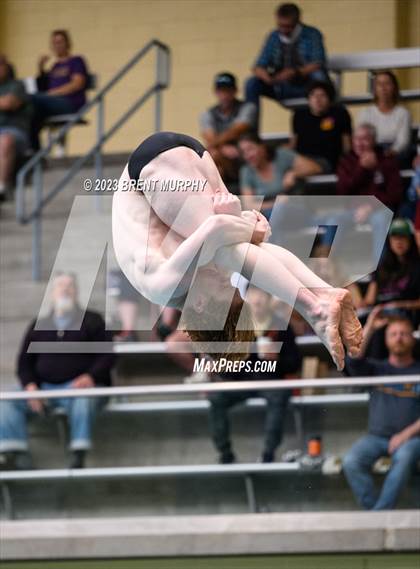 Thumbnail 3 in CHSAA 4A Boys Diving - State Championship photogallery.
