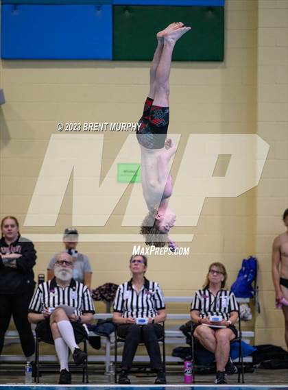Thumbnail 3 in CHSAA 4A Boys Diving - State Championship photogallery.