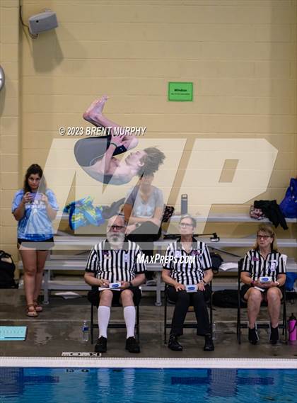 Thumbnail 1 in CHSAA 4A Boys Diving - State Championship photogallery.