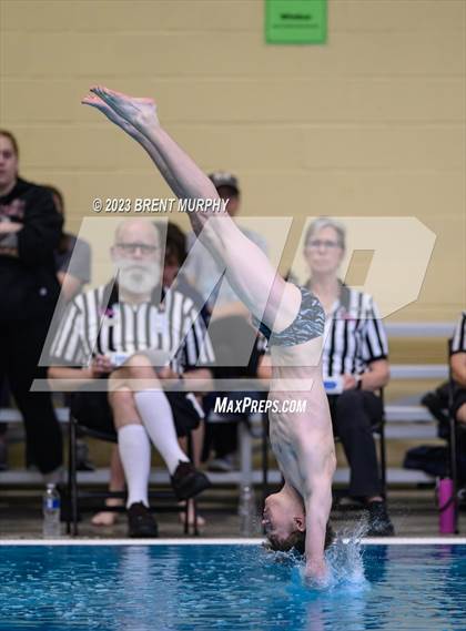 Thumbnail 3 in CHSAA 4A Boys Diving - State Championship photogallery.