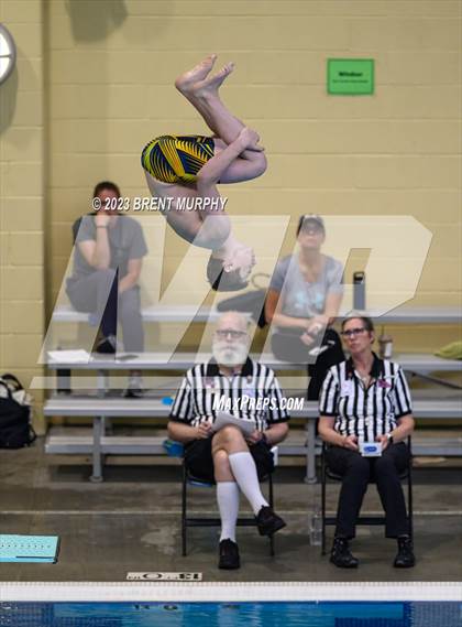 Thumbnail 3 in CHSAA 4A Boys Diving - State Championship photogallery.