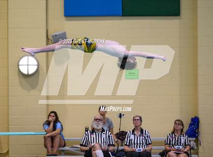 Thumbnail 1 in CHSAA 4A Boys Diving - State Championship photogallery.