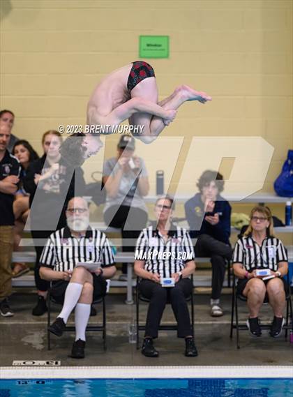Thumbnail 3 in CHSAA 4A Boys Diving - State Championship photogallery.
