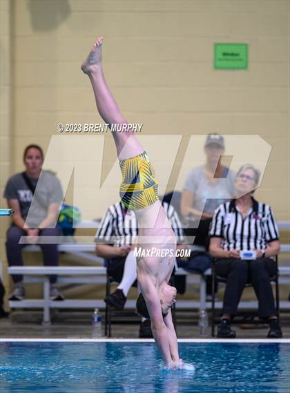 Thumbnail 3 in CHSAA 4A Boys Diving - State Championship photogallery.