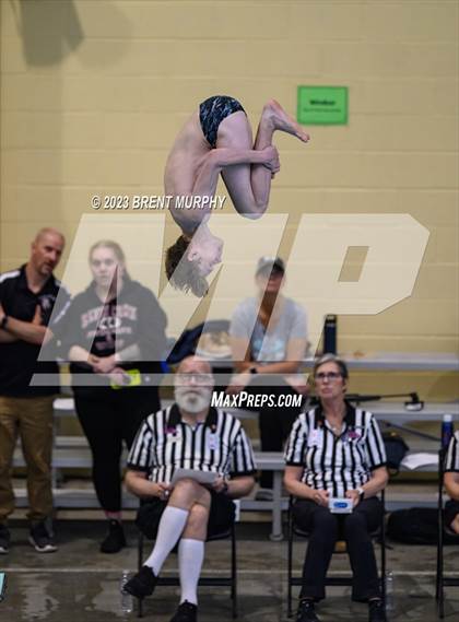 Thumbnail 2 in CHSAA 4A Boys Diving - State Championship photogallery.