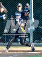 Photo from the gallery "Franklin @ Elk Grove"