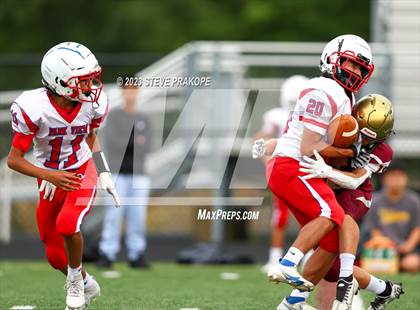 Thumbnail 3 in Park View @ Broad Run photogallery.