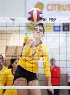 Photo from the gallery "Montverde Academy @ Windermere Prep"