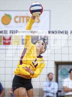 Photo from the gallery "Montverde Academy @ Windermere Prep"
