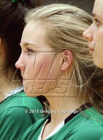 Thumbnail 3 in Allen vs. Carroll  photogallery.
