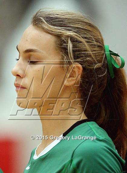 Thumbnail 3 in Allen vs. Carroll  photogallery.