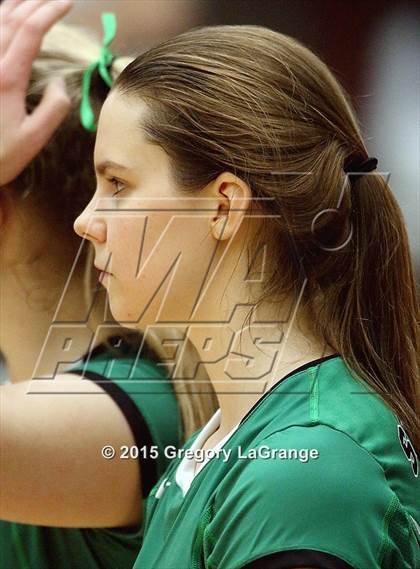 Thumbnail 1 in Allen vs. Carroll  photogallery.