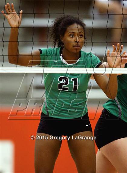 Thumbnail 1 in Allen vs. Carroll  photogallery.