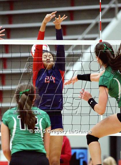 Thumbnail 1 in Allen vs. Carroll  photogallery.