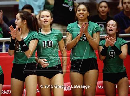 Thumbnail 3 in Allen vs. Carroll  photogallery.