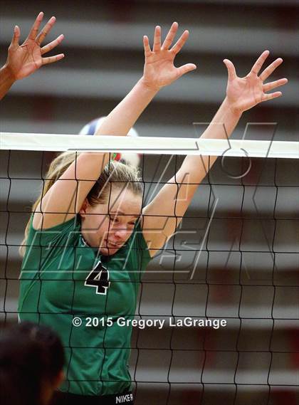 Thumbnail 1 in Allen vs. Carroll  photogallery.