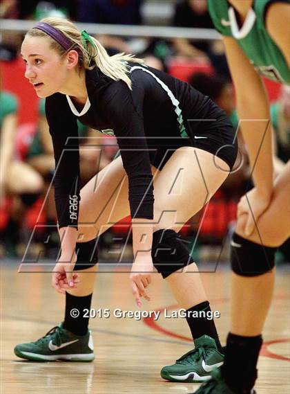 Thumbnail 1 in Allen vs. Carroll  photogallery.