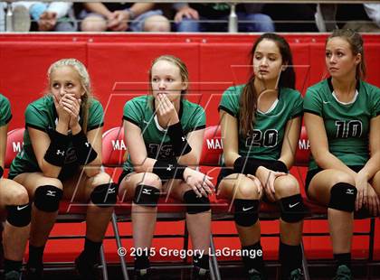 Thumbnail 3 in Allen vs. Carroll  photogallery.
