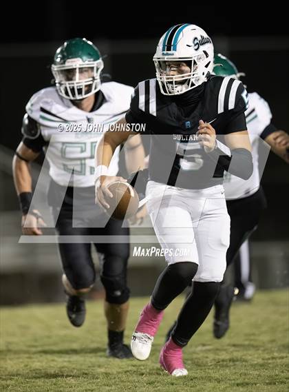 Thumbnail 1 in Burroughs @ Sultana photogallery.