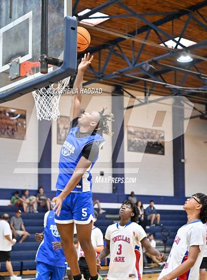 Thumbnail 1 in Gibbs vs Pinellas Park (The Hoop Vibe) photogallery.