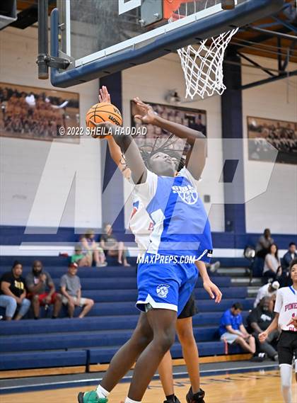 Thumbnail 2 in Gibbs vs Pinellas Park (The Hoop Vibe) photogallery.