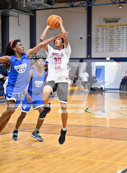 Thumbnail 2 in Gibbs vs Pinellas Park (The Hoop Vibe) photogallery.