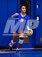 Photo from the gallery "Workman @ Charter Oak"