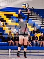 Photo from the gallery "Workman @ Charter Oak"