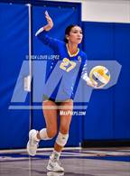 Photo from the gallery "Workman @ Charter Oak"