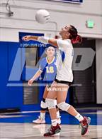 Photo from the gallery "Workman @ Charter Oak"