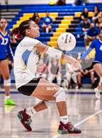 Photo from the gallery "Workman @ Charter Oak"