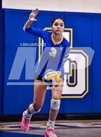 Photo from the gallery "Workman @ Charter Oak"