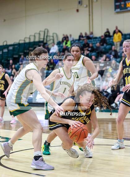 Thumbnail 2 in Wantagh vs Lynbrook (NYSPHSAA Section VIII Class A Final) photogallery.