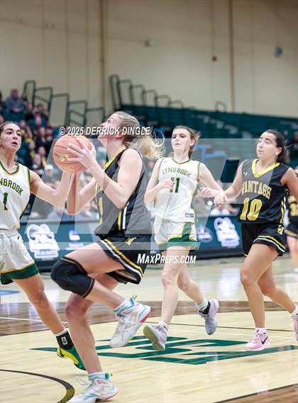 Thumbnail 1 in Wantagh vs Lynbrook (NYSPHSAA Section VIII Class A Final) photogallery.