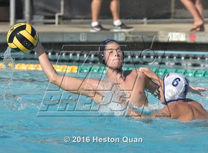 Thumbnail 2 in Los Alamitos @ Villa Park photogallery.
