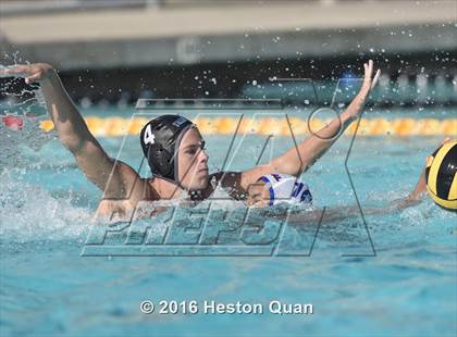 Thumbnail 3 in Los Alamitos @ Villa Park photogallery.