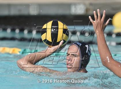 Thumbnail 2 in Los Alamitos @ Villa Park photogallery.