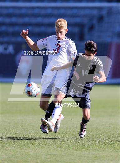 null - Photo 11