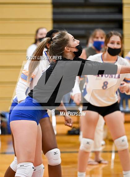 Thumbnail 2 in Livonia vs. Dansville photogallery.