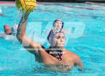 Thumbnail 1 in Alhambra vs. Whitney photogallery.