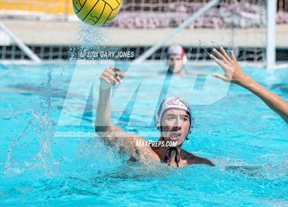 Thumbnail 2 in Alhambra vs. Whitney photogallery.
