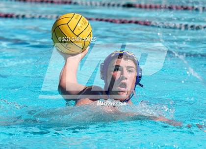 Thumbnail 3 in Alhambra vs. Whitney photogallery.