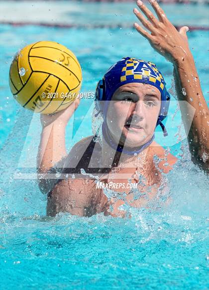 Thumbnail 3 in Alhambra vs. Whitney photogallery.
