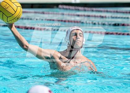 Thumbnail 3 in Alhambra vs. Whitney photogallery.