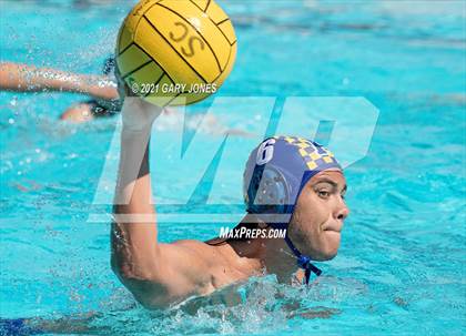 Thumbnail 3 in Alhambra vs. Whitney photogallery.