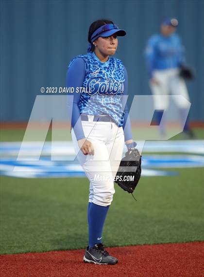 Thumbnail 3 in Grulla @ Port Isabel photogallery.