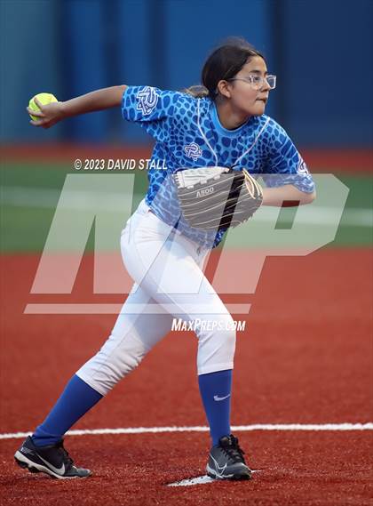 Thumbnail 3 in Grulla @ Port Isabel photogallery.
