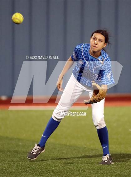 Thumbnail 2 in Grulla @ Port Isabel photogallery.